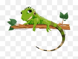 Iguana Png Transparent Image - Iguana Vector - (774X596) Png ClipartFlare.com 