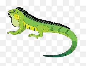 Iguana Reptile Lizard - Free Vector Graphic On ClipartFlare