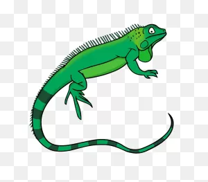 Iguana Png