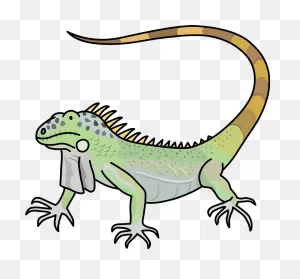 Iguana Clipart. Free Download Transparent .png | ClipartFlare