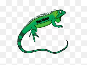 Lizard Green Iguana Clip Art Reptile Openclipart - Lizard Png ClipartFlare.com 