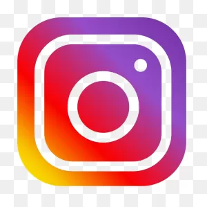 Instagram | Search Information