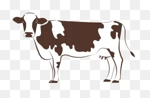 Download Hd Cow Clipart - Cow Logo Transparent Png Image - ClipartFlare ClipartFlare.com