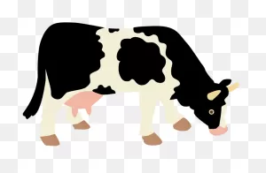 Download Hd Cow With No Background Transparent Png Image - ClipartFlare ClipartFlare.com