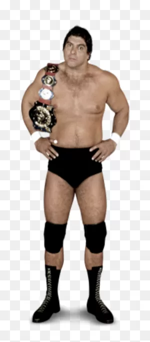 Don Muraco | Pro Wrestling | ClipartFlare