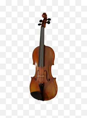 String Instruments – Digitaize