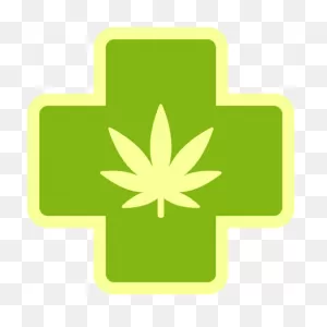 9 Florida Medical Marijuana Strains — Florida Medical Cannabis Clinic