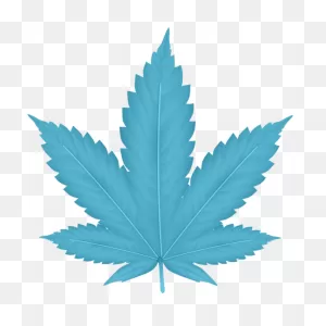 Download Hd Indica - Weed Clipart Png Transparent Png Image ClipartFlare.com 