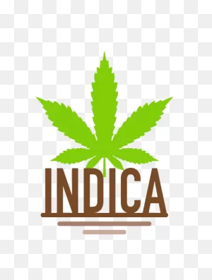 Indica Seeds For Sale | Green Parrot