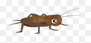 Free Png Cricket Insect Clipart Png Images Transparent - Insects ClipartFlare.com 