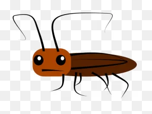 Insect Insect Pest Beetle Clipart - Insect Clipart Animals Clip Art