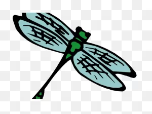 Insect Clipart Kid Png - Insect Clip Art Transparent | Full Size ClipartFlare.com 