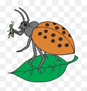 Insects: Facts (Science Trek: Idaho Public Television)