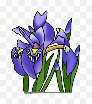 9  Iris Clip Art - Preview : Iris Flower Clipa | ClipartFlare
