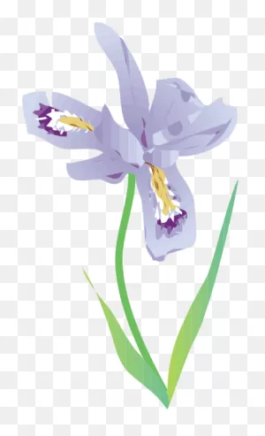 Free Iris Cliparts, Download Free Iris Cliparts Png Images, Free ClipartFlare.com 
