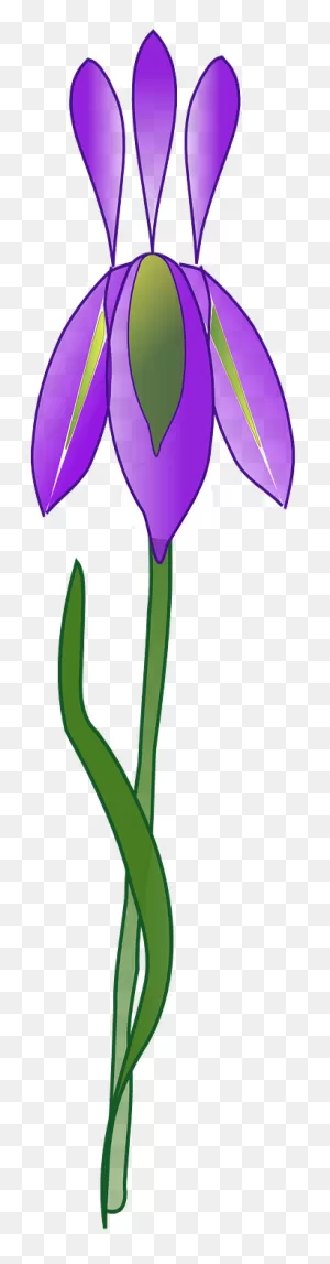 Iris Flower Purple Plant Garden Png Image Iris - ClipartFlare