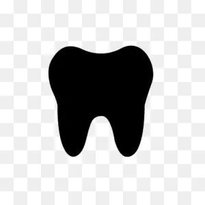 A Mouthguard For Nba Star Isaiah Thomas - Holly Scott-Hetchler Dds