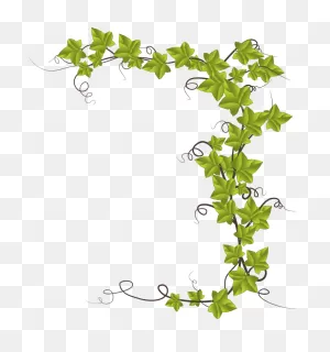 Ivy - ClipartFlare