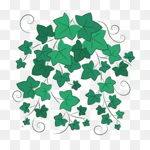 Ivy Clipart. Free Download Transparent .png | ClipartFlare