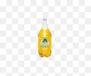 Jarritos Passion Fruit – Oak Beverages Inc.