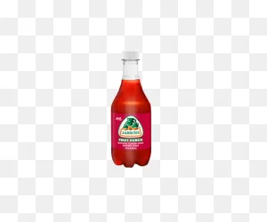 Jarritos Fruit Punch – Oak Beverages Inc.