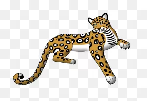Jaguar | Wildlife Animal Pedia Wiki | ClipartFlare