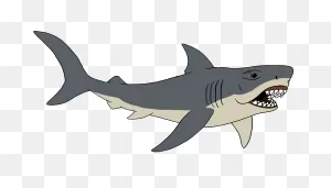Jaws By Retrouniverseart On 