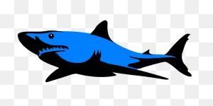 Shark Jaws Sea - Free Vector Graphic On ClipartFlare