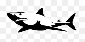 Shark Jaws Sea - Free Vector Graphic On ClipartFlare