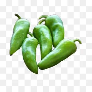 Pepper: Jalapeno Jedi Plant
