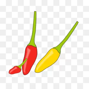 Jalapeno