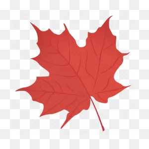Autumn Leaf, Leaf, Leaf In Fall, Maple Leaf, Red Maple Icon ClipartFlare.com 
