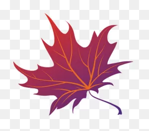 Download Japanese Maple Png - Full Size Png Image - ClipartFlare