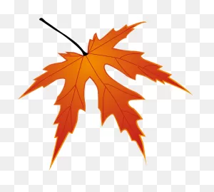 Leaf R Clipart - Japanese Maple - Png Download - Full Size Clipart ClipartFlare.com 