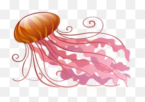 Jellyfish Clipart. Free Download Transparent .png | ClipartFlare