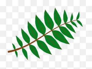 Clipart Jungle Leaves Png - ClipartFlare