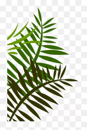 Download Hd Jungle Leaves Png Image Library - Fern Leaf Shower ClipartFlare.com 