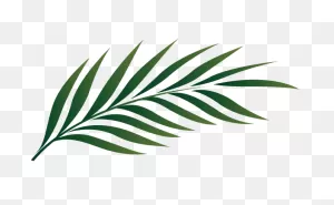 Free Jungle Leaves Png, Download Free Jungle Leaves Png Png Images ClipartFlare.com 