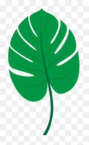 Tropical Leaf Clipart. Free Download Transparent .png | ClipartFlare