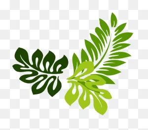 Transparent Jungle Leaves Clipart - Png Download - Full Size ClipartFlare.com 
