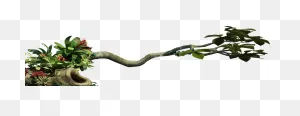 Download Jungle Clipart Hq Png Image | ClipartFlare