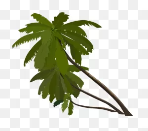 Jungle Trees Animated - ClipartFlare