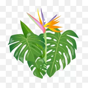 Shrub Clipart Jungle - Clip Art - Png Download - Full Size Clipart ClipartFlare.com 