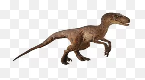 Jurassic Park Png - Jurassic Park Raptor Png Clipart - Full Size ClipartFlare.com 