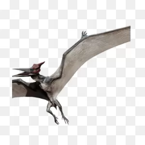 Pteranodon | Jurassic Park Wiki | ClipartFlare