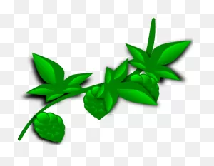 Free Jungle Plant Cliparts, Download Free Jungle Plant Cliparts ClipartFlare.com 