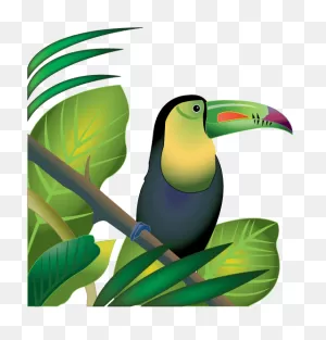 Jungle Plants Clip Art | Rainforest Plants Clip Art Pictures ClipartFlare.com 