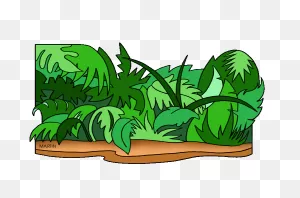 Plants Clip Art By Phillip Martin, Jungle