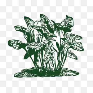 Tropical Plants Png, PNG-WebP Clip Art For Web - Download Clip Art, Png ClipartFlare.com 