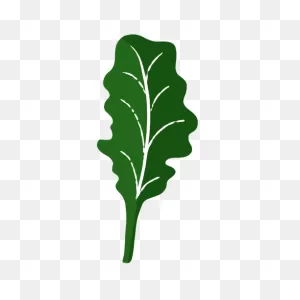 100% Baby Kale Greens | Organicgirl